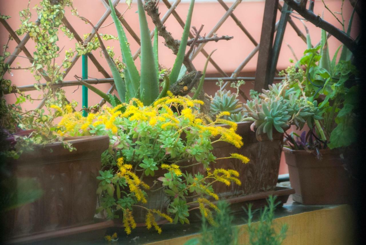 Appartamento Fiore โรม ภายนอก รูปภาพ